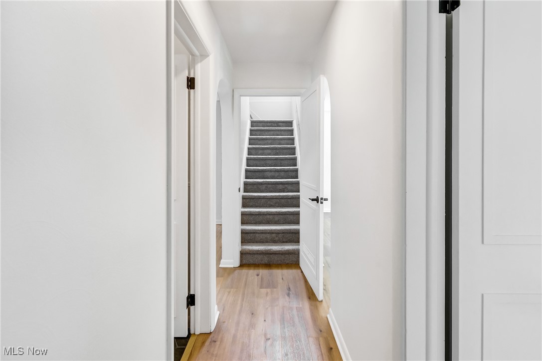 Shady Lawn - Residential