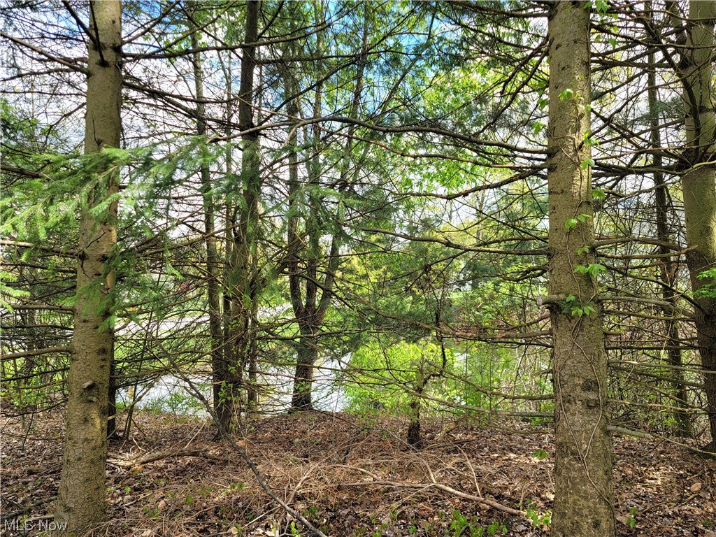 Lake Plata - Residential