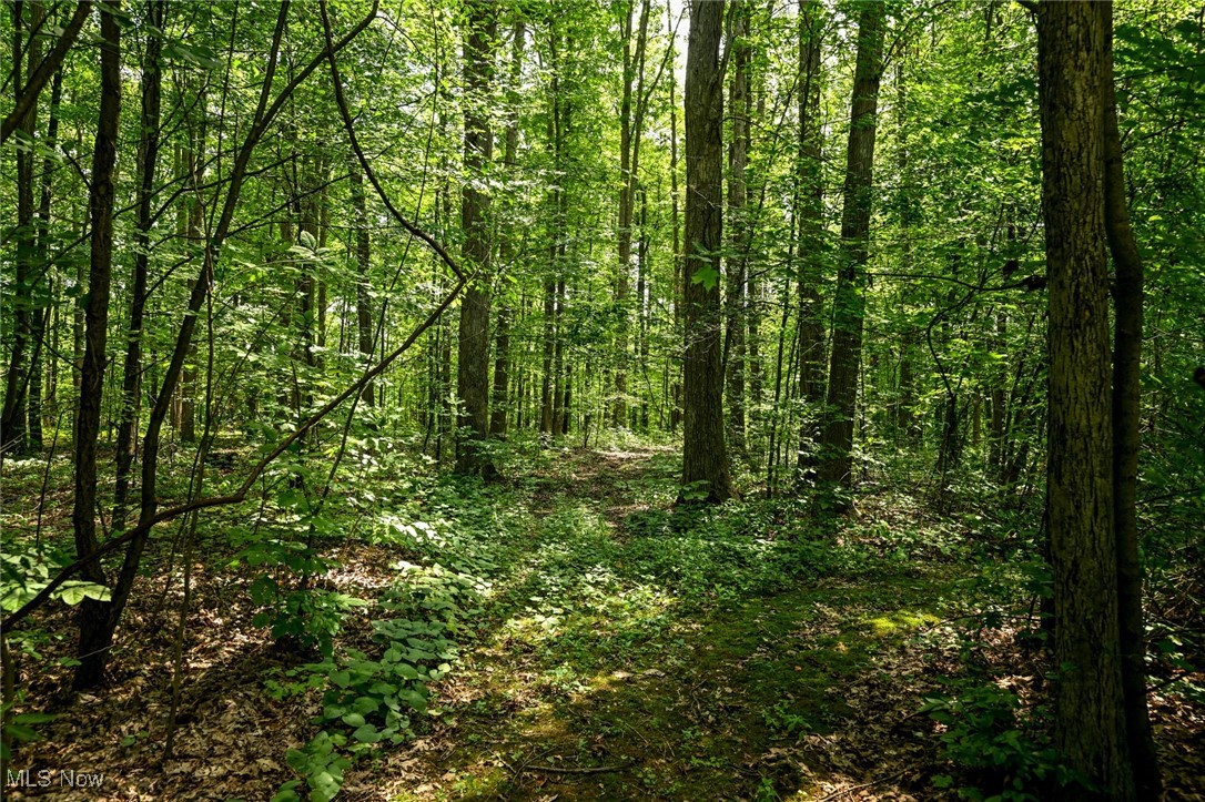 Middlefield, Ohio 44062, United States, 4 Bedrooms Bedrooms, ,3 BathroomsBathrooms,Residential,Active,191914