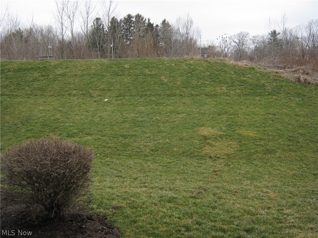 Meadows/Copley Allotment - Residential Lease