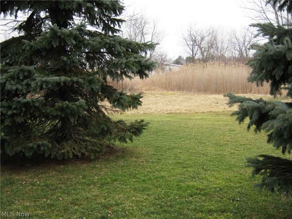 Meadows/Copley Allotment - Residential Lease