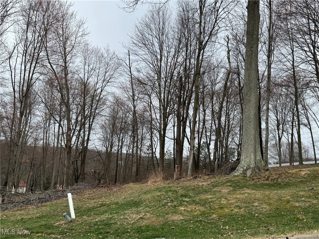 Wood Haven Drive, Dover, Ohio image 5
