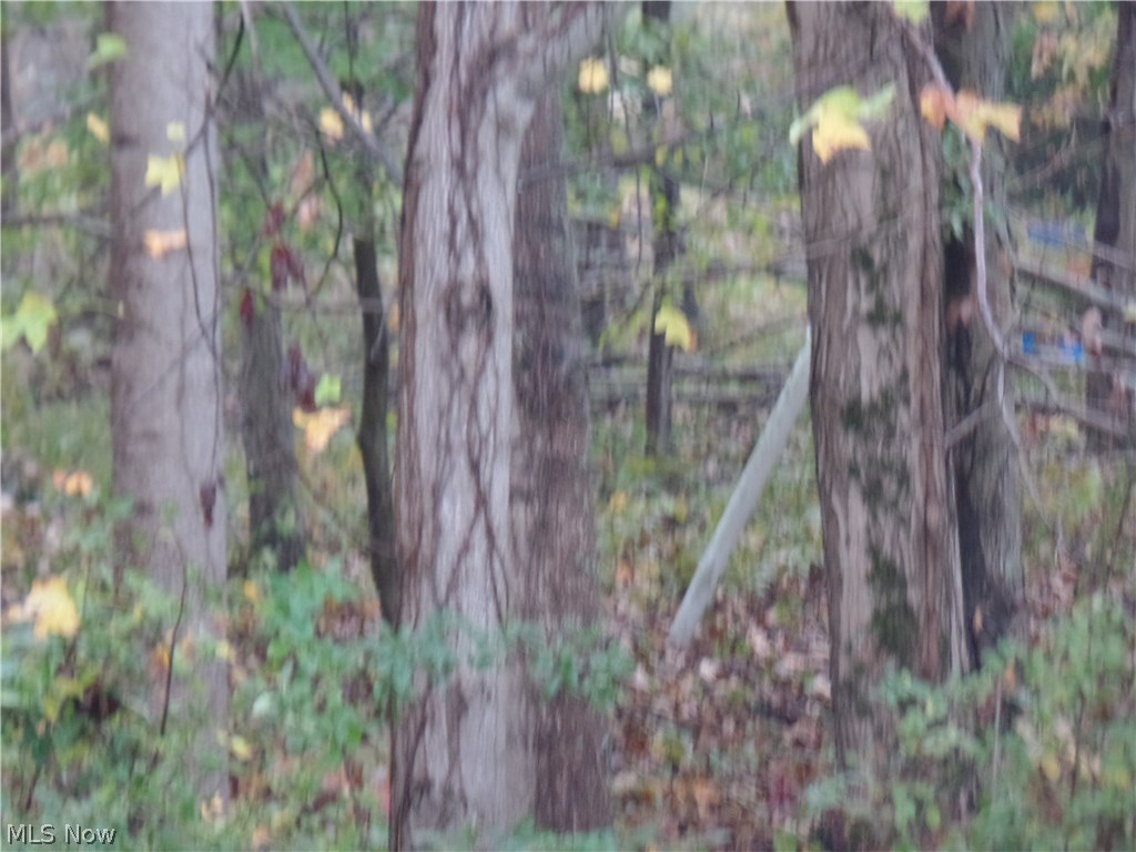 Bruner-Croston SD - Residential