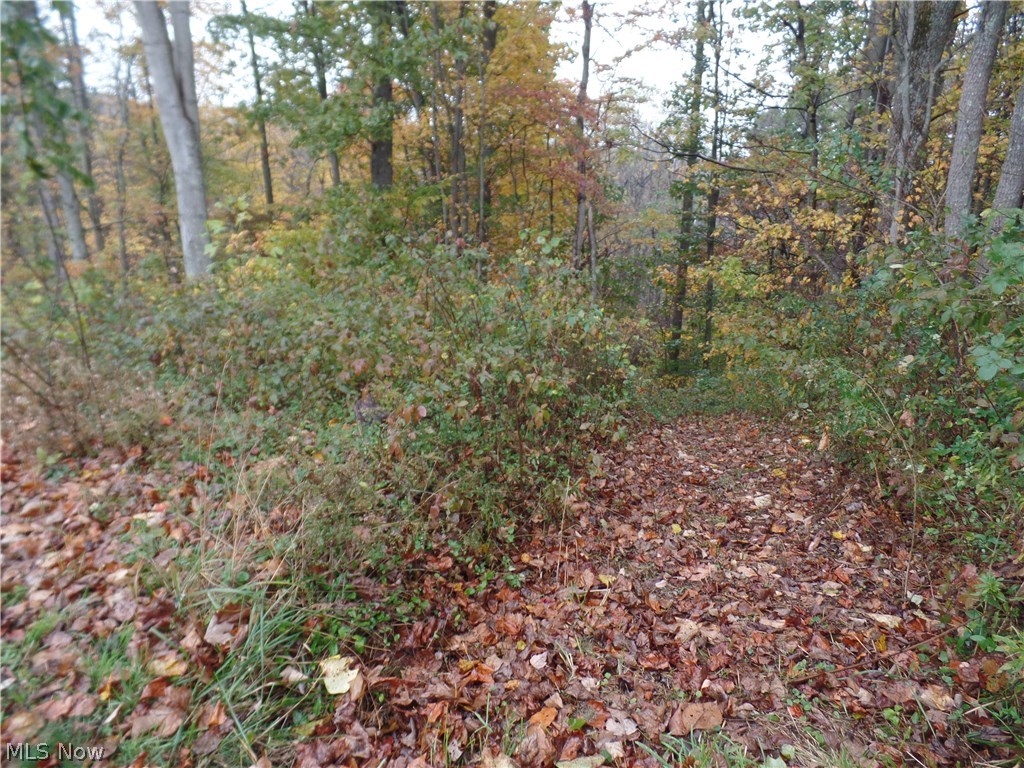 Bruner-Croston SD - Residential