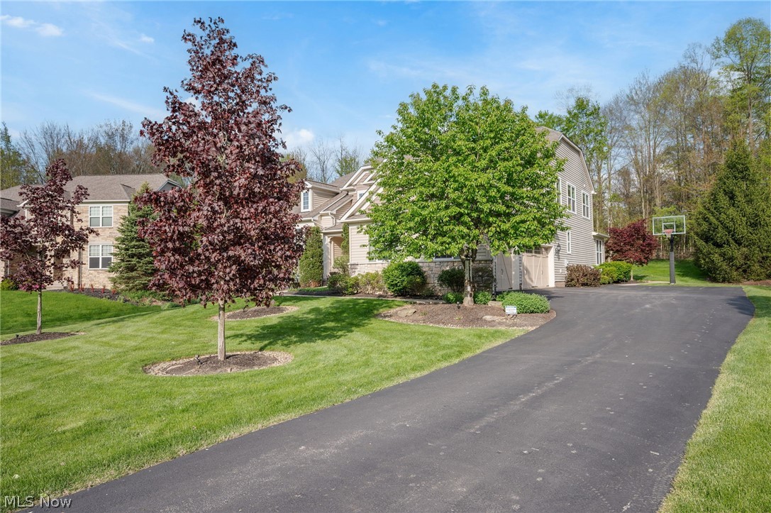 Canyon Lake Colony - Residential