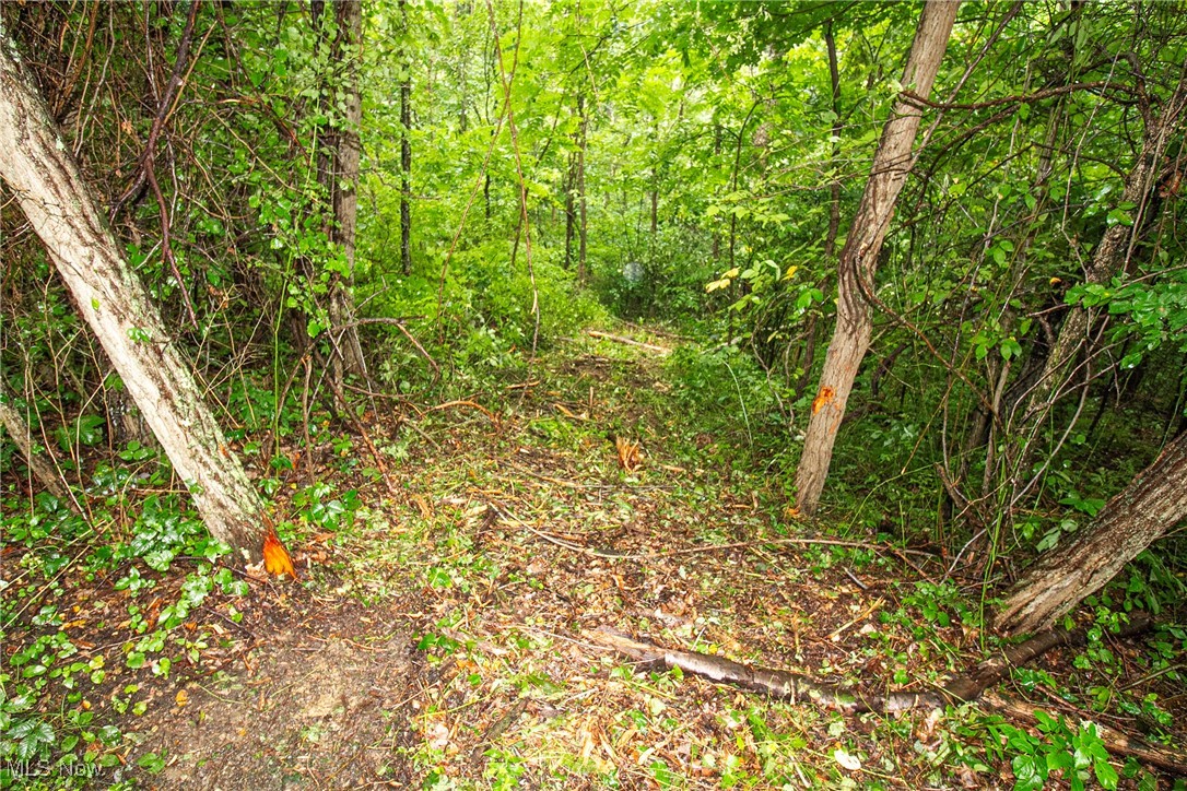 Lot 1 Meadowood Trail, Cadiz, Ohio image 3