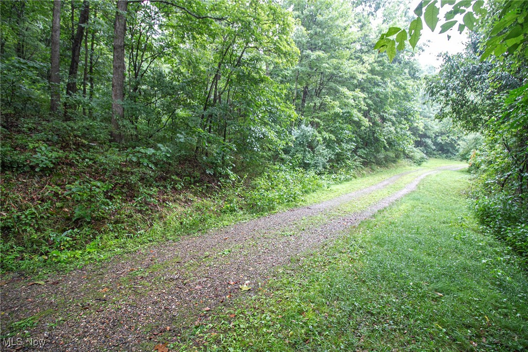 Lot 1 Meadowood Trail, Cadiz, Ohio image 4