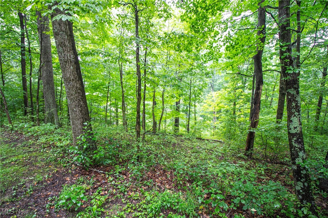 Lot 1 Meadowood Trail, Cadiz, Ohio image 6