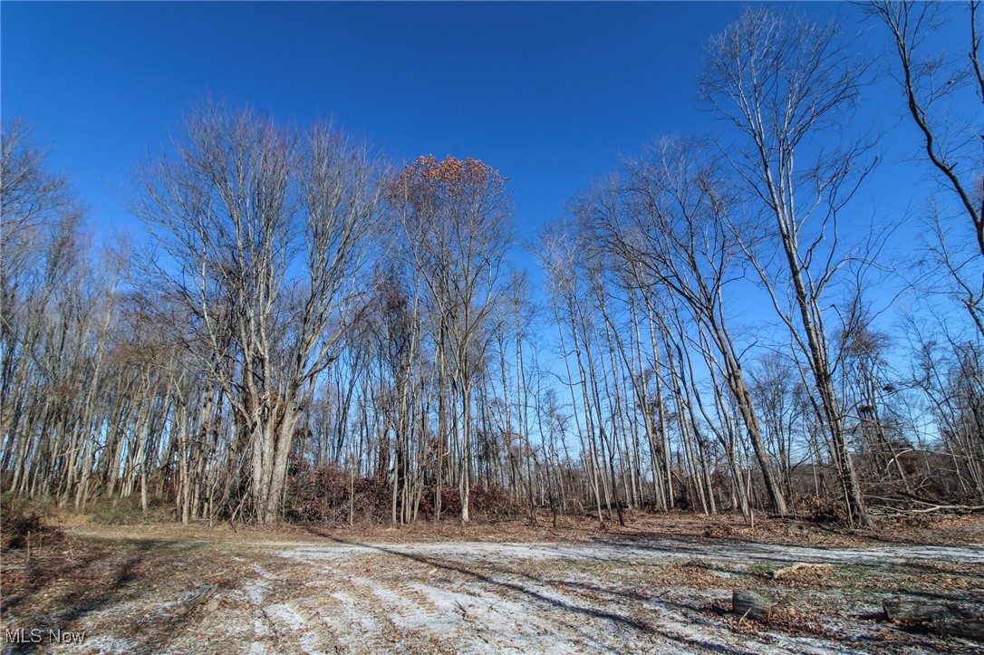 Pleasant Chapel Road, Newark, Ohio image 9