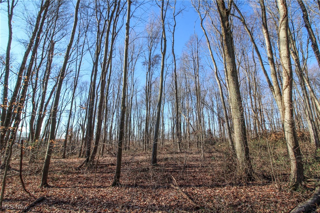 Pleasant Chapel Road, Newark, Ohio image 12