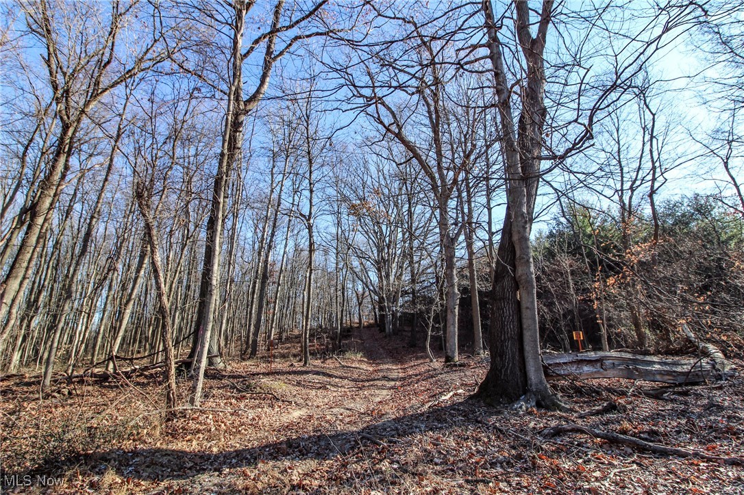Pleasant Chapel Road, Newark, Ohio image 4