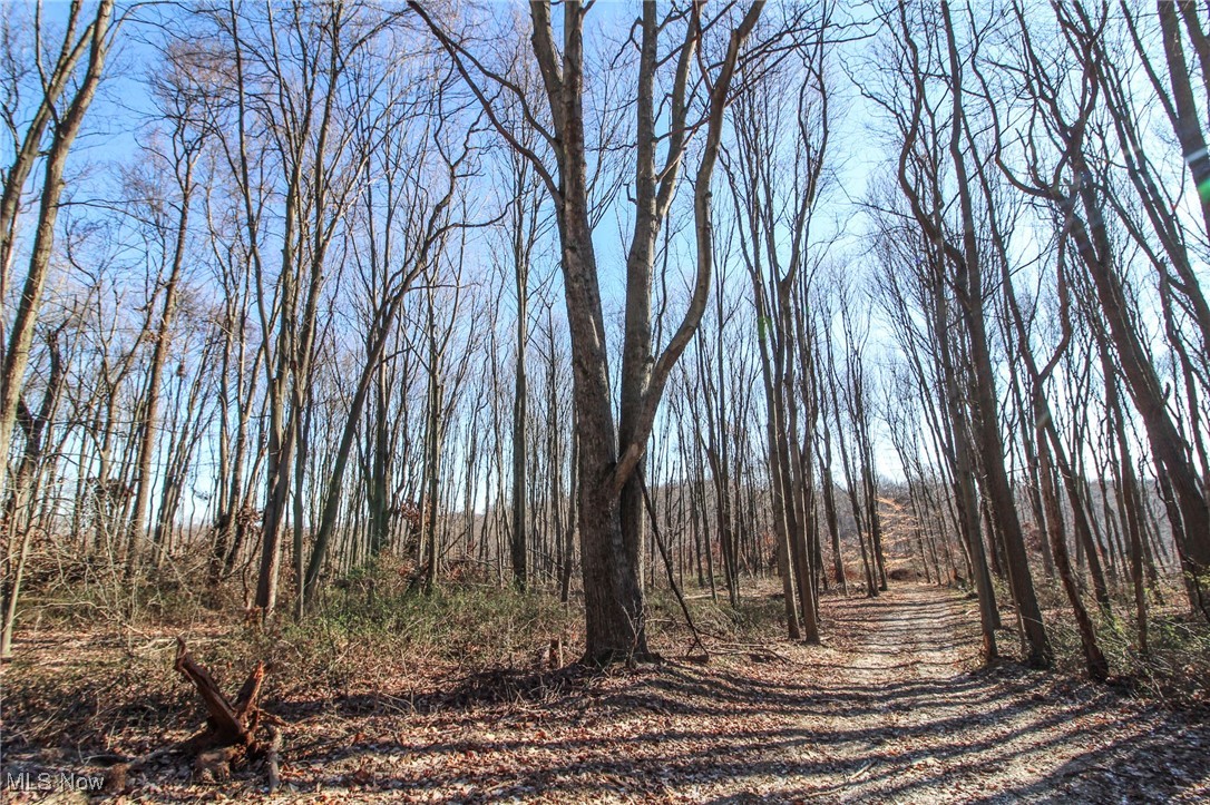 Pleasant Chapel Road, Newark, Ohio image 14