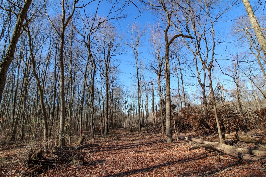 Pleasant Chapel Road, Newark, Ohio image 7