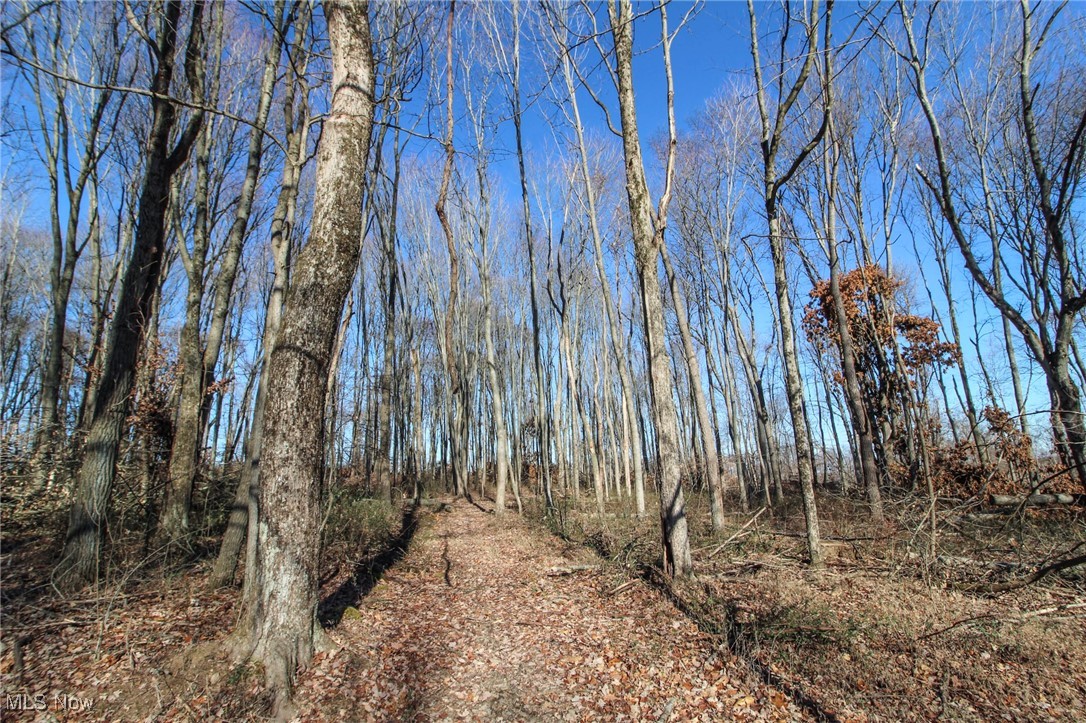Pleasant Chapel Road, Newark, Ohio image 10