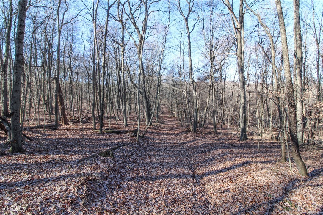 Pleasant Chapel Road, Newark, Ohio image 3