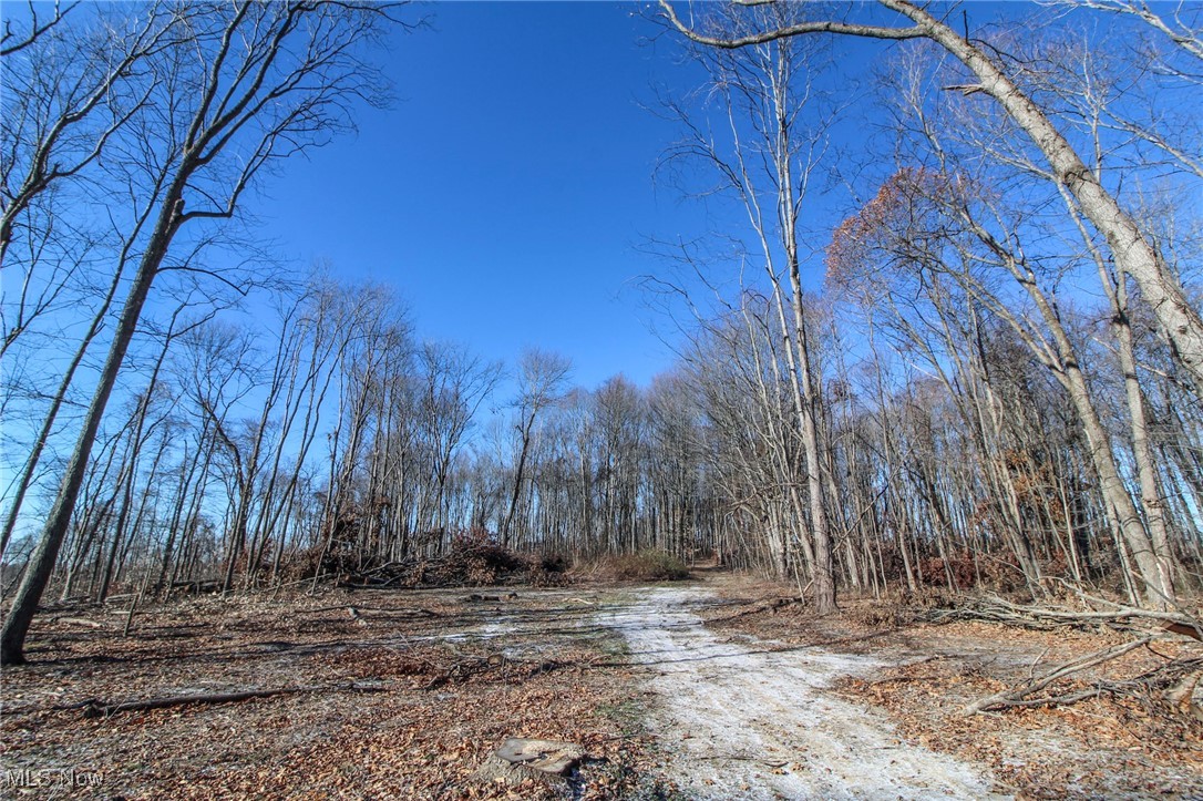 Pleasant Chapel Road, Newark, Ohio image 17