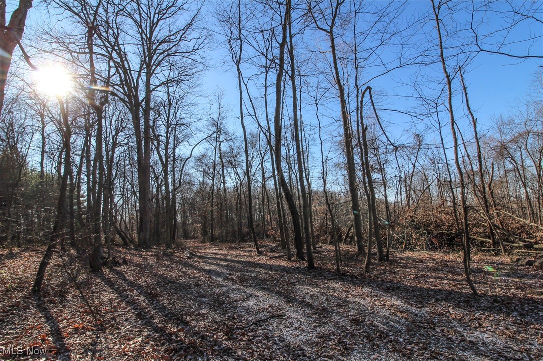 Pleasant Chapel Road, Newark, Ohio image 5