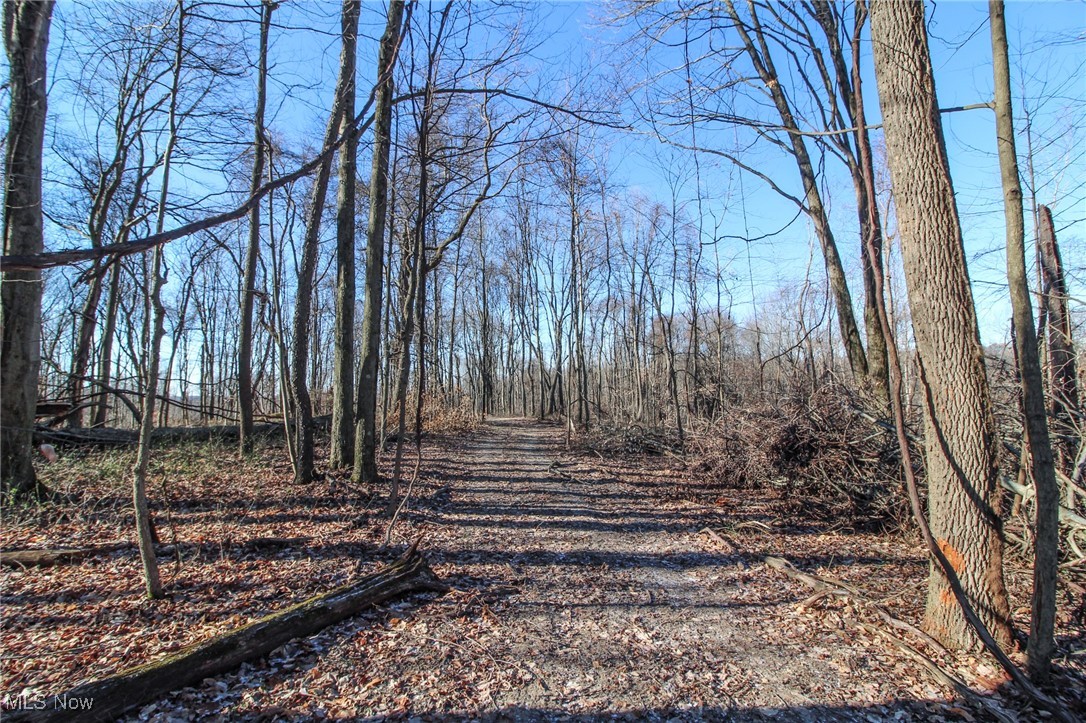 Pleasant Chapel Road, Newark, Ohio image 16