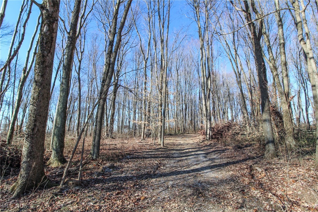 Pleasant Chapel Road, Newark, Ohio image 11