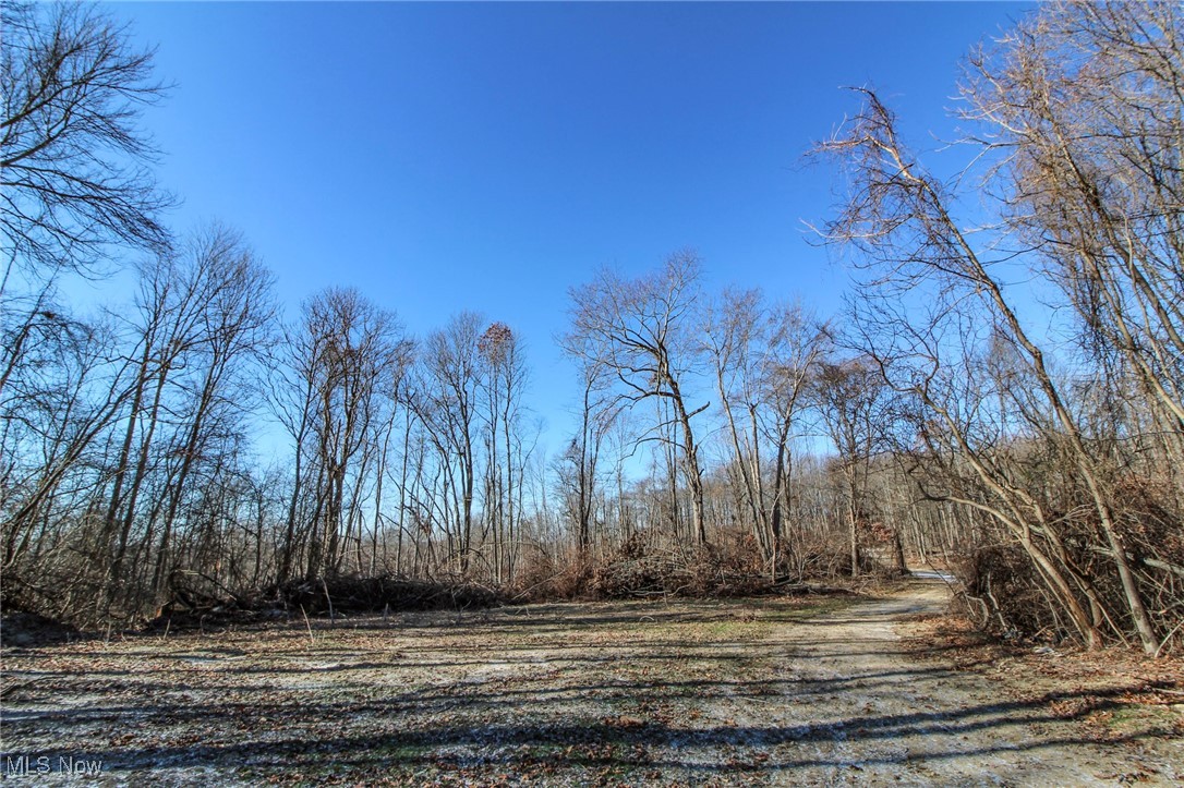 Pleasant Chapel Road, Newark, Ohio image 18