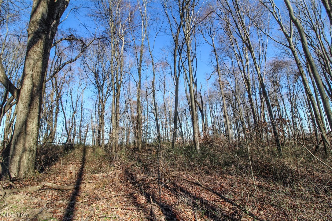 Pleasant Chapel Road, Newark, Ohio image 13