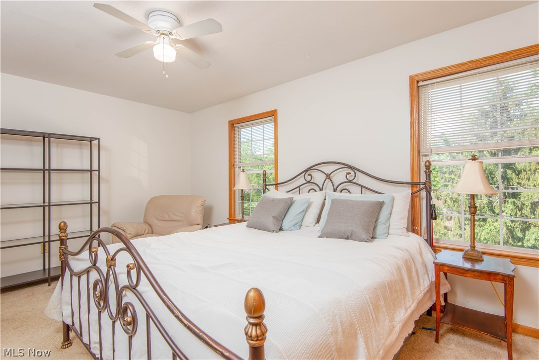 Waring-Luce Allotment - Residential