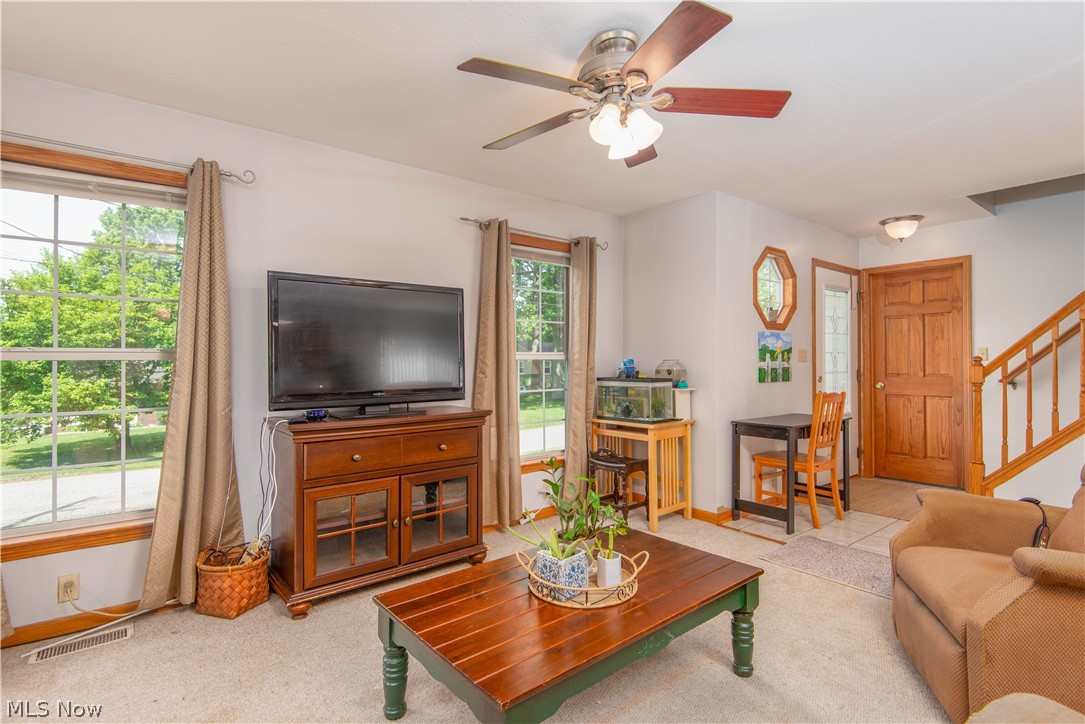 Waring-Luce Allotment - Residential