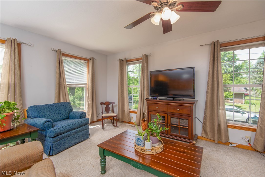 Waring-Luce Allotment - Residential