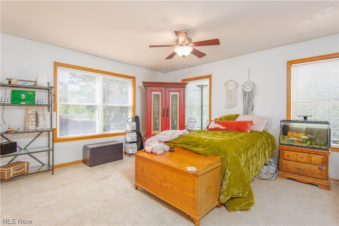 Waring-Luce Allotment - Residential