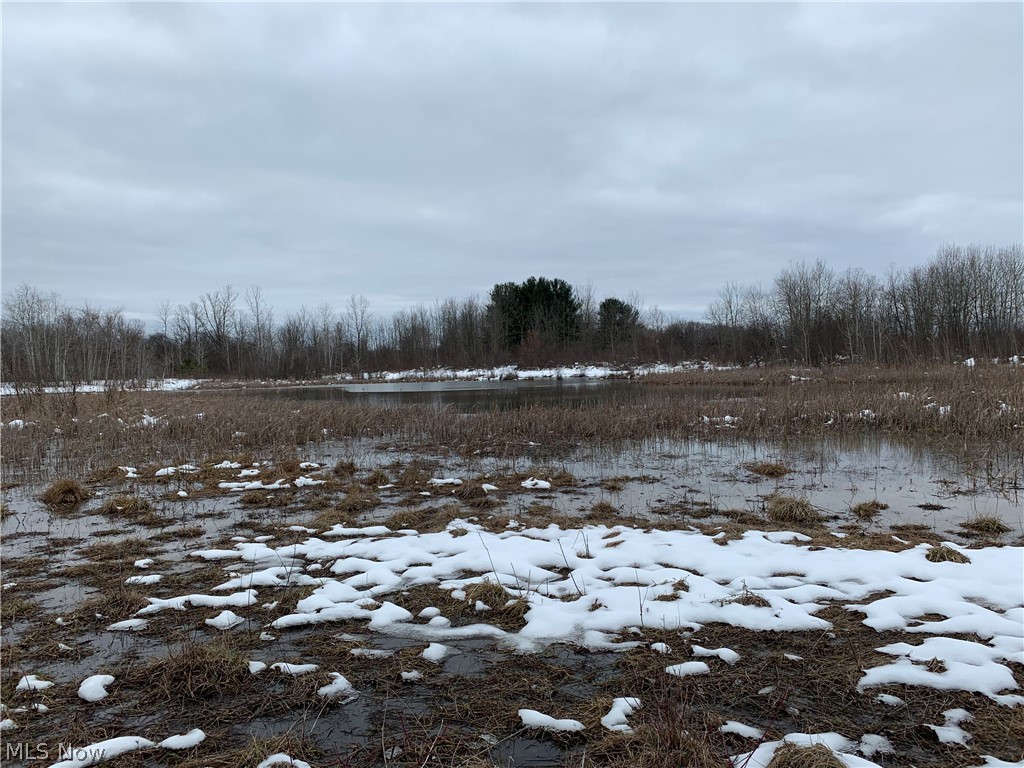 LOCATION comes to mind on this property with easy access to Middlefield, OH. This property has multiple water sources including a pond and creek. Several thick areas are perfect to hold, grow, and harvest Whitetail Deer. Cleared areas in the front of the property could be the ideal location for food plots, pasture, or your dream home! With water, thick areas, and food this could be set up as a perfect hunting property! This property will not last long!