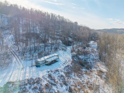 Vacant Land For Sale - County Rd 46<br/> Lower Salem, OH 45745