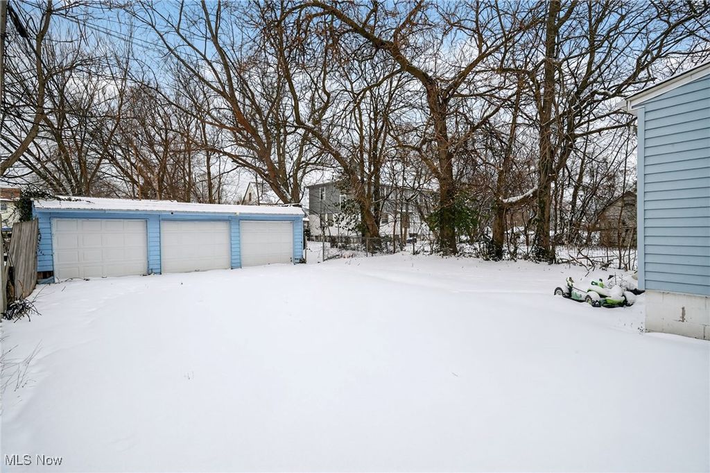 Photo of 14613 Westropp Avenue, Cleveland, OH 44110 (MLS # 5179934)