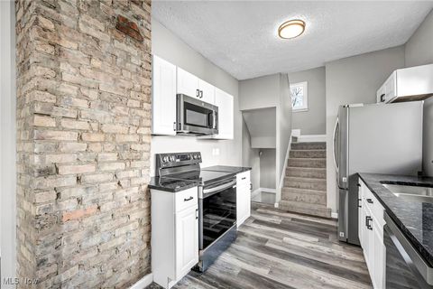 Tiny photo for 3282 W 38th Street, Cleveland, OH 44109 (MLS # 5179263)