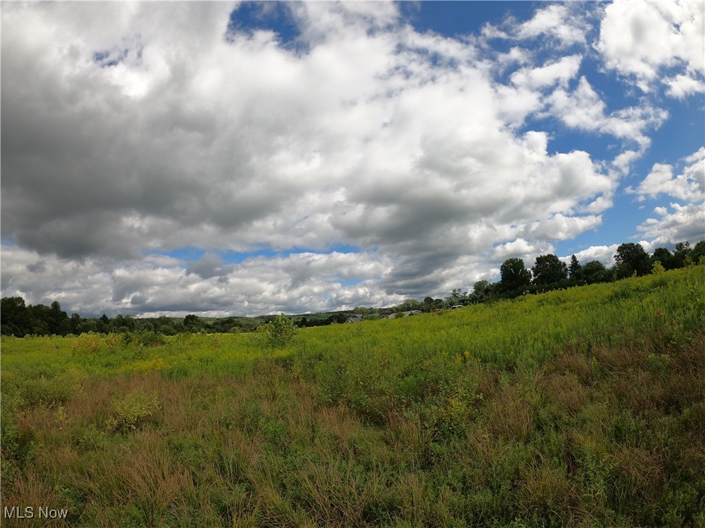 View North Royalton, OH 44133 property