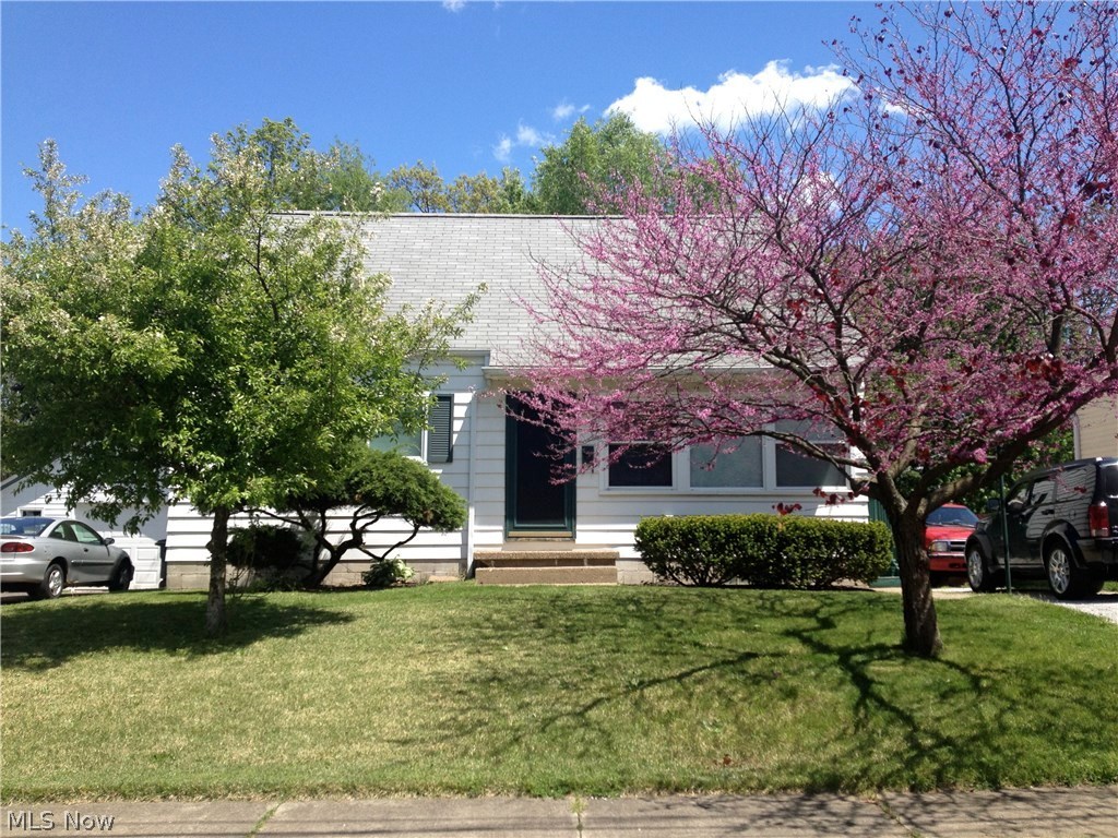 Johnstons Coventry - Residential Lease