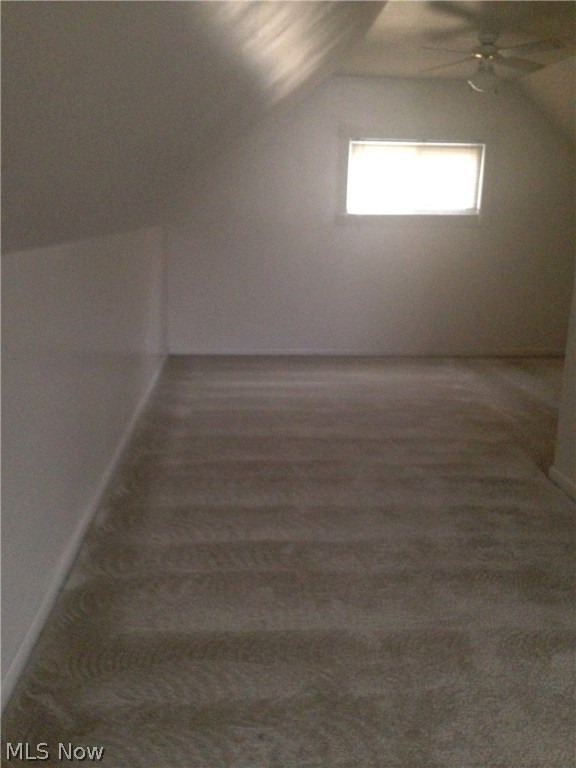 Johnstons Coventry - Residential Lease