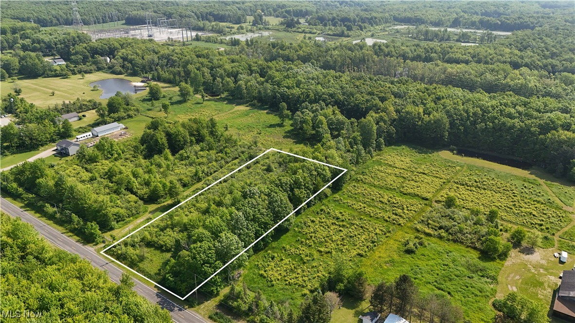 Brakeman Road, Painesville, Ohio image 20