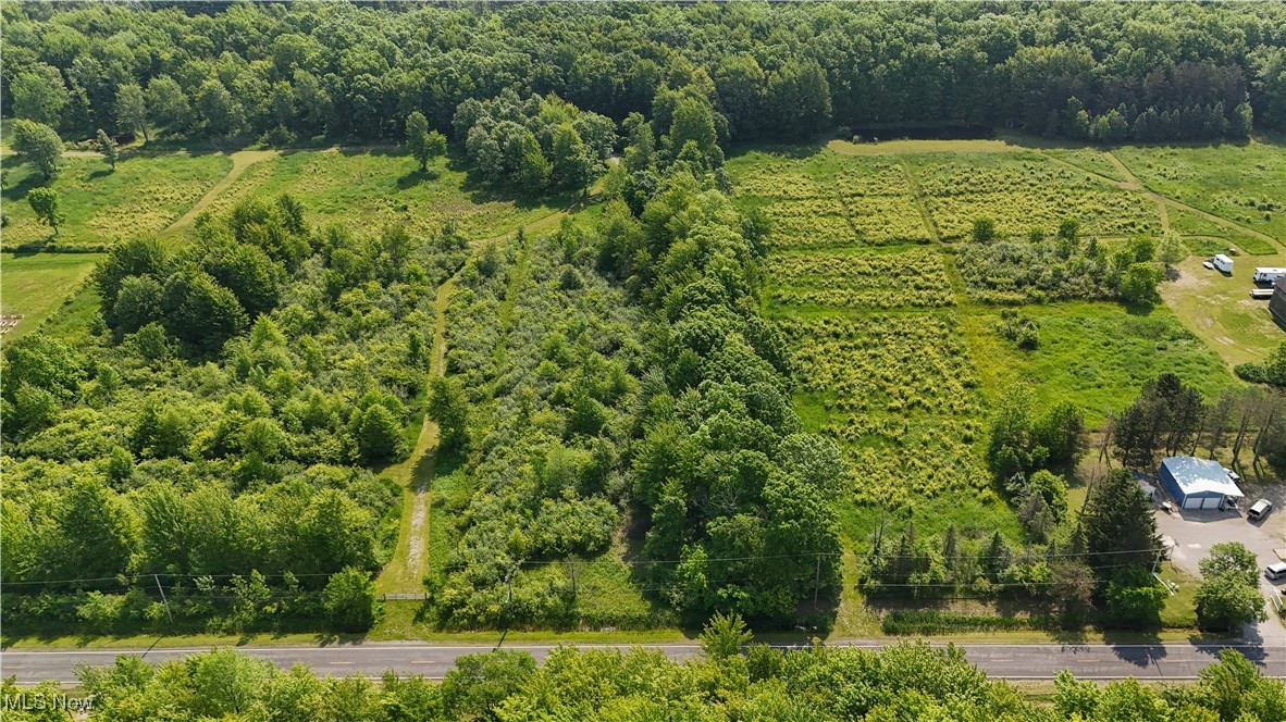 Brakeman Road, Painesville, Ohio image 7