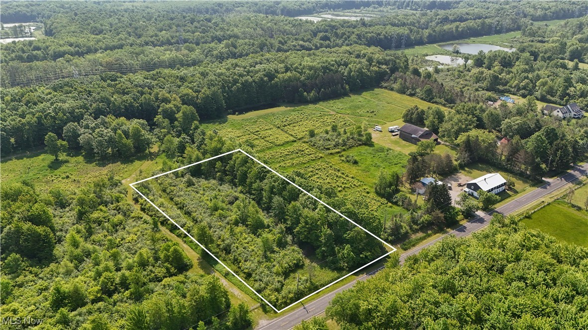 Brakeman Road, Painesville, Ohio image 4