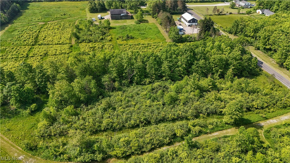 Brakeman Road, Painesville, Ohio image 11