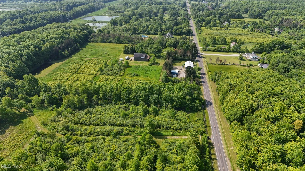 Brakeman Road, Painesville, Ohio image 9