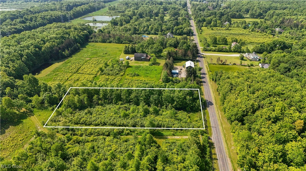 Brakeman Road, Painesville, Ohio image 10