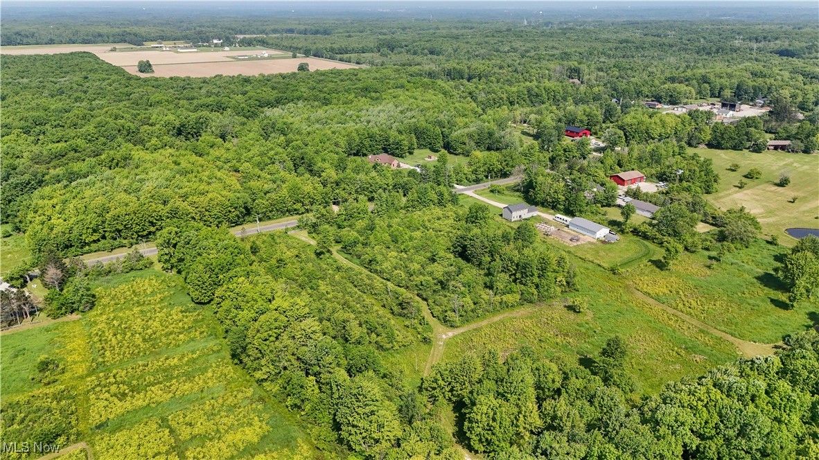 Brakeman Road, Painesville, Ohio image 21