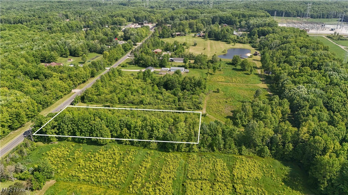 Brakeman Road, Painesville, Ohio image 18