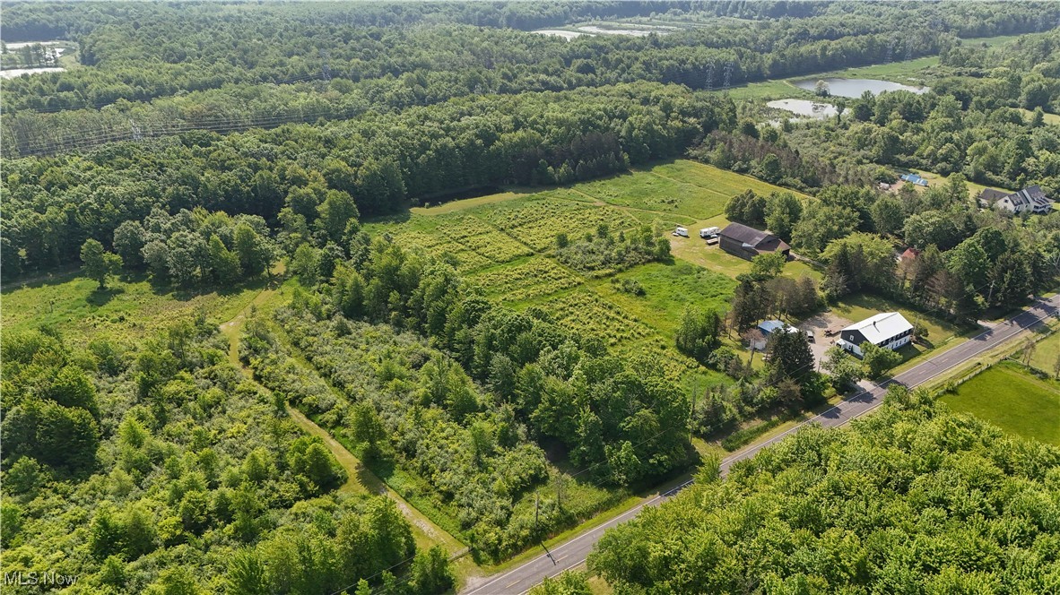 Brakeman Road, Painesville, Ohio image 3