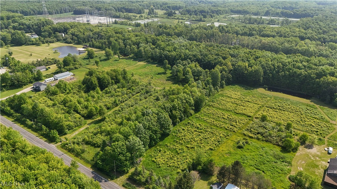 Brakeman Road, Painesville, Ohio image 19