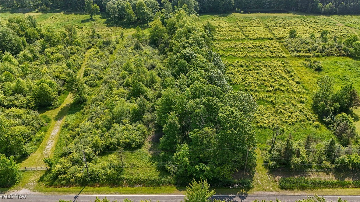 Brakeman Road, Painesville, Ohio image 1