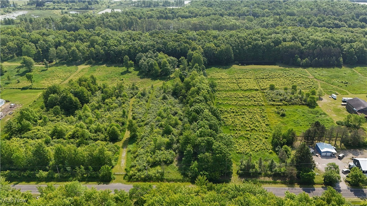 Brakeman Road, Painesville, Ohio image 5