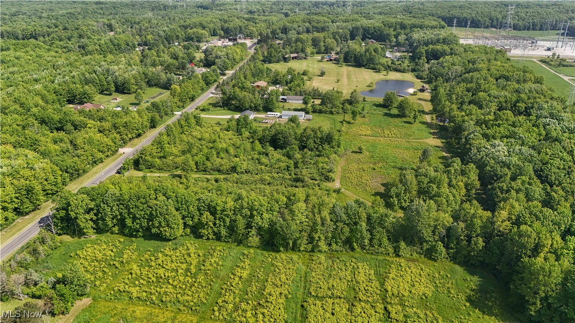 Brakeman Road, Painesville, Ohio image 17