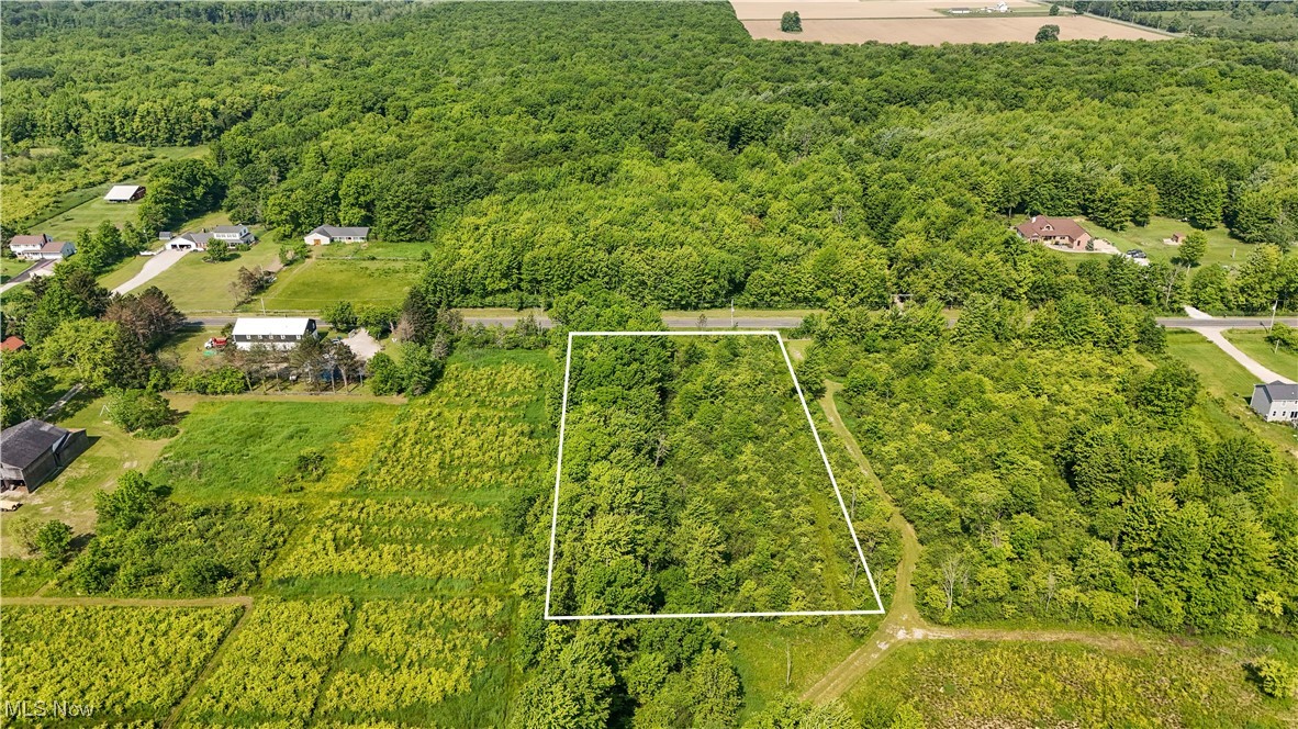 Brakeman Road, Painesville, Ohio image 14